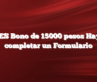 ANSES Bono de 15000 pesos Hay que completar un Formulario