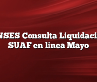 ANSES Consulta Liquidacion SUAF en linea Mayo