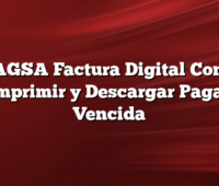 BAGSA Factura Digital Como Imprimir y Descargar Pagar Vencida