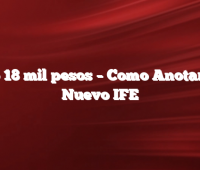 Bono 18 mil pesos –  Como Anotarse al Nuevo IFE