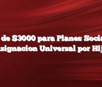 Bono de $3000 para Planes Sociales y Asignacion Universal por Hijo