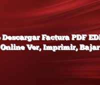 Como Descargar Factura PDF EDESAL Online Ver, Imprimir, Bajar