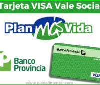 Cómo consultar el saldo de tu tarjeta VISA Vale alimentos en Argentina