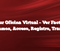 Edesur Oficina Virtual –  Ver Facturas, Reclamos, Acceso, Registro, Tramites