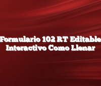 Formulario 102 RT  Editable Interactivo Como Llenar