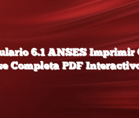 Formulario 6.1 ANSES  Imprimir Como se Completa  PDF Interactivo