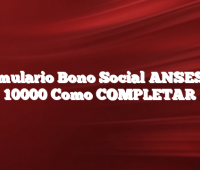 Formulario Bono Social ANSES de 10000 Como COMPLETAR