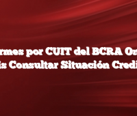 Informes por CUIT del BCRA Online Gratis  Consultar Situación Crediticia