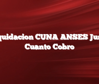 Liquidacion CUNA ANSES Junio  Cuanto Cobro