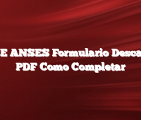RASE ANSES Formulario  Descargar PDF Como Completar