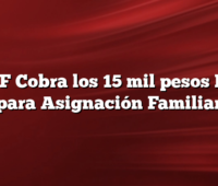 SUAF Cobra los 15 mil pesos Bono para Asignación Familiar