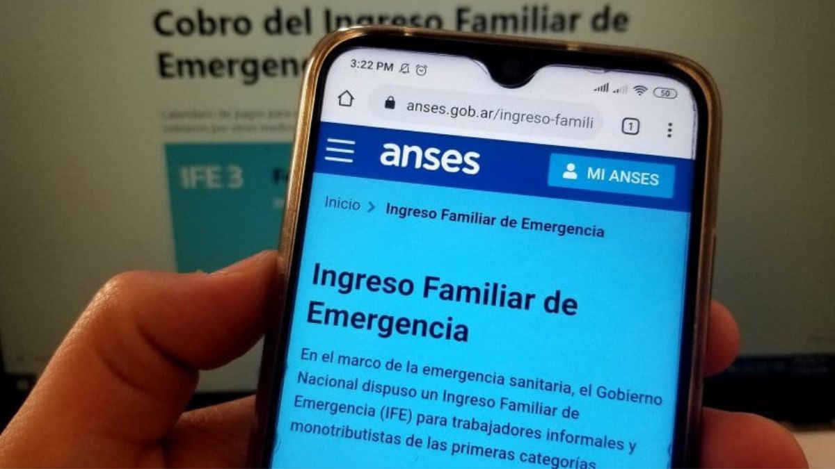 actualizar los datos en ANSES para cobrarlo 2025